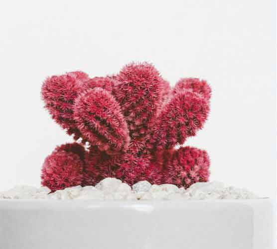 24小时轰炸对方的电话软件